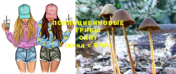 прущая мука Алзамай