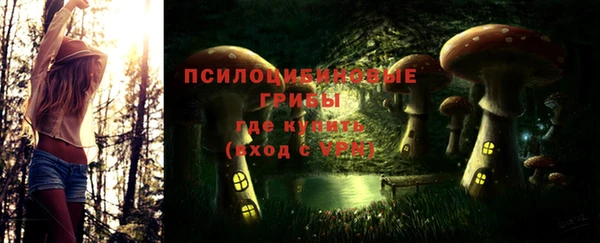 стафф Михайлов