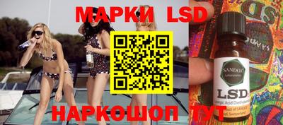 индика Кудрово