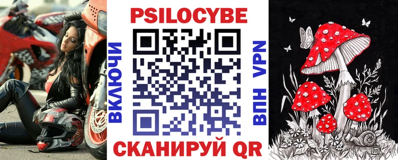 наркотики  Брянск  Галлюциногенные грибы прущие грибы 