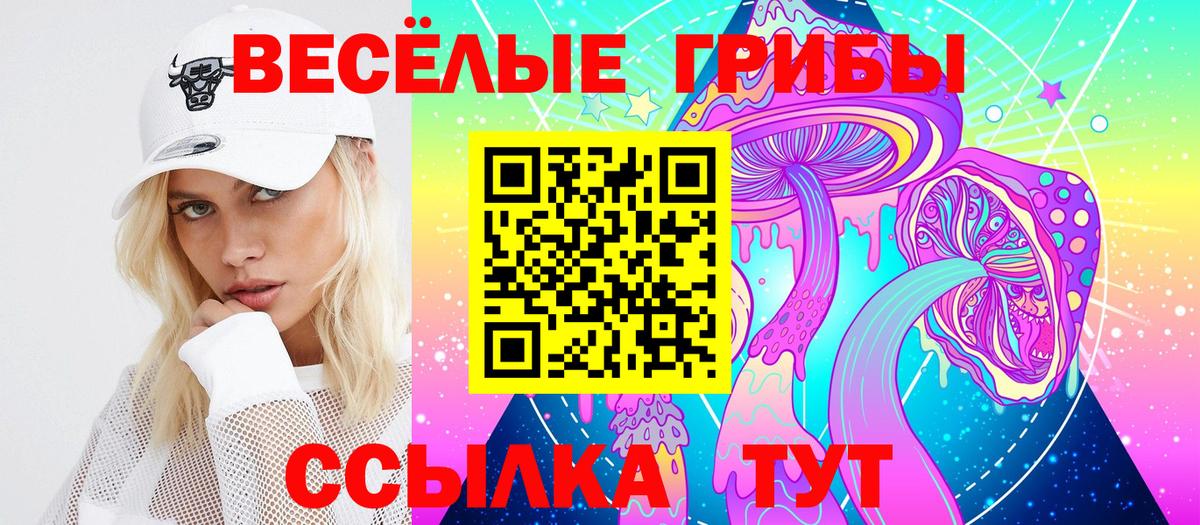 Псилоцибиновые грибы прущие грибы  Вход с VPN  Брянск 